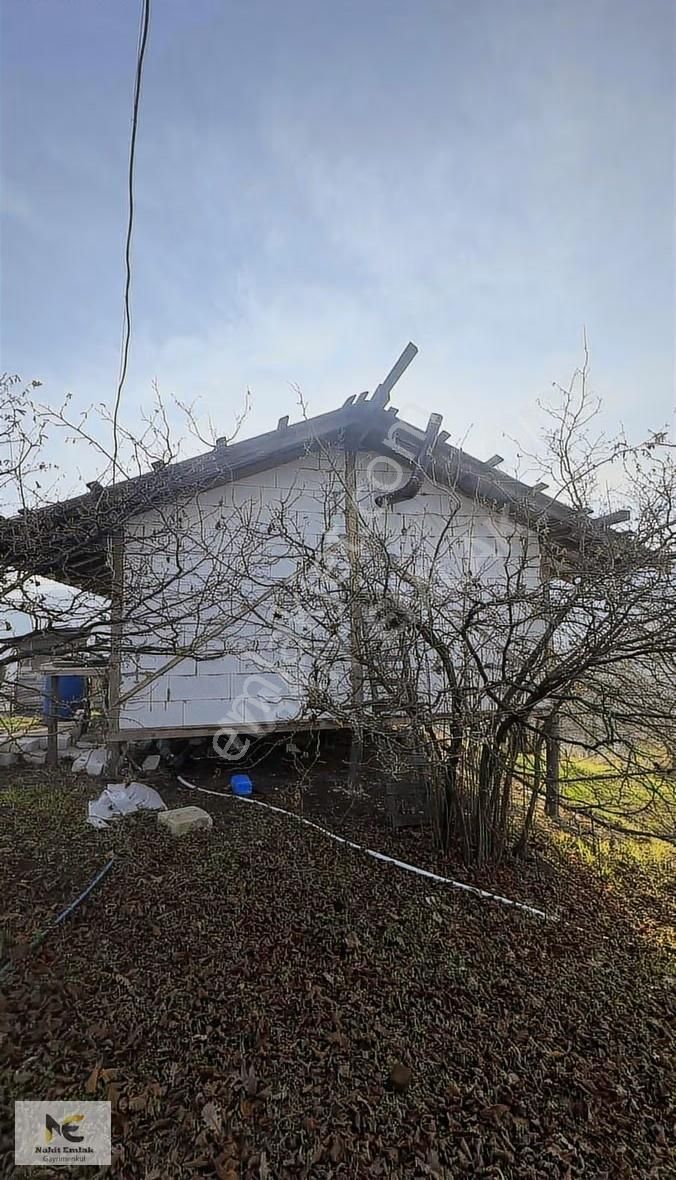 Fırsat Fındık Bahçesi Ev+elektrik+su+yol 11.250m2 Hacıkara'da - Görsel 4