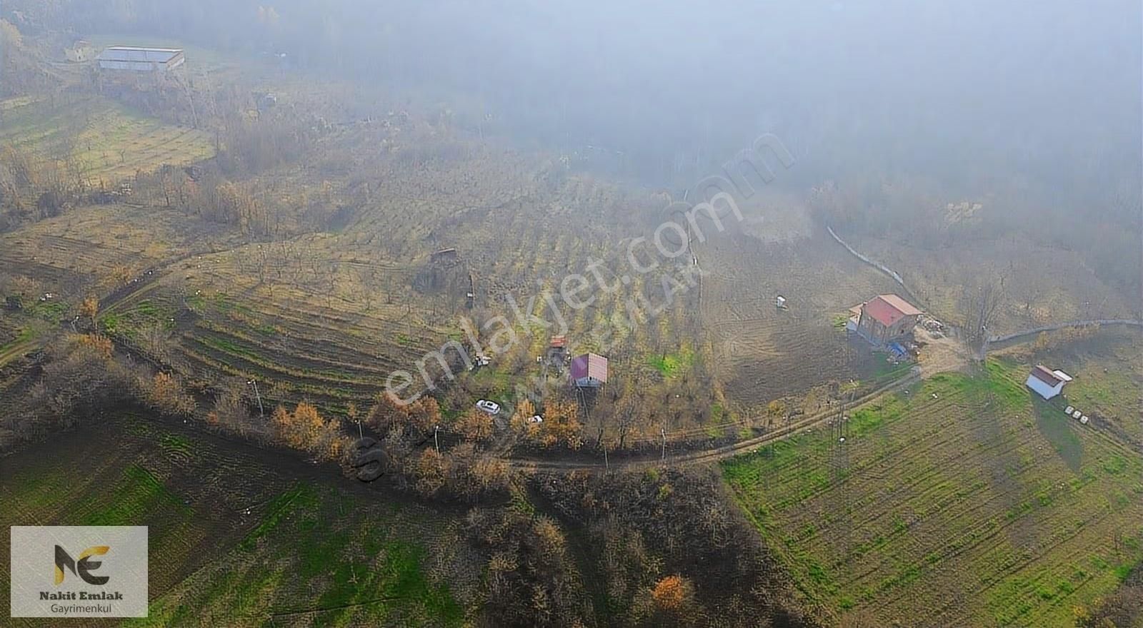 Fırsat Fındık Bahçesi Ev+elektrik+su+yol 11.250m2 Hacıkara'da - Görsel 9