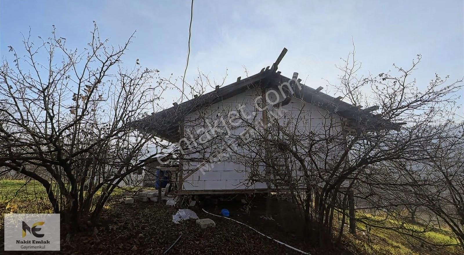 Fırsat Fındık Bahçesi Ev+elektrik+su+yol 11.250m2 Hacıkara'da - Görsel 7