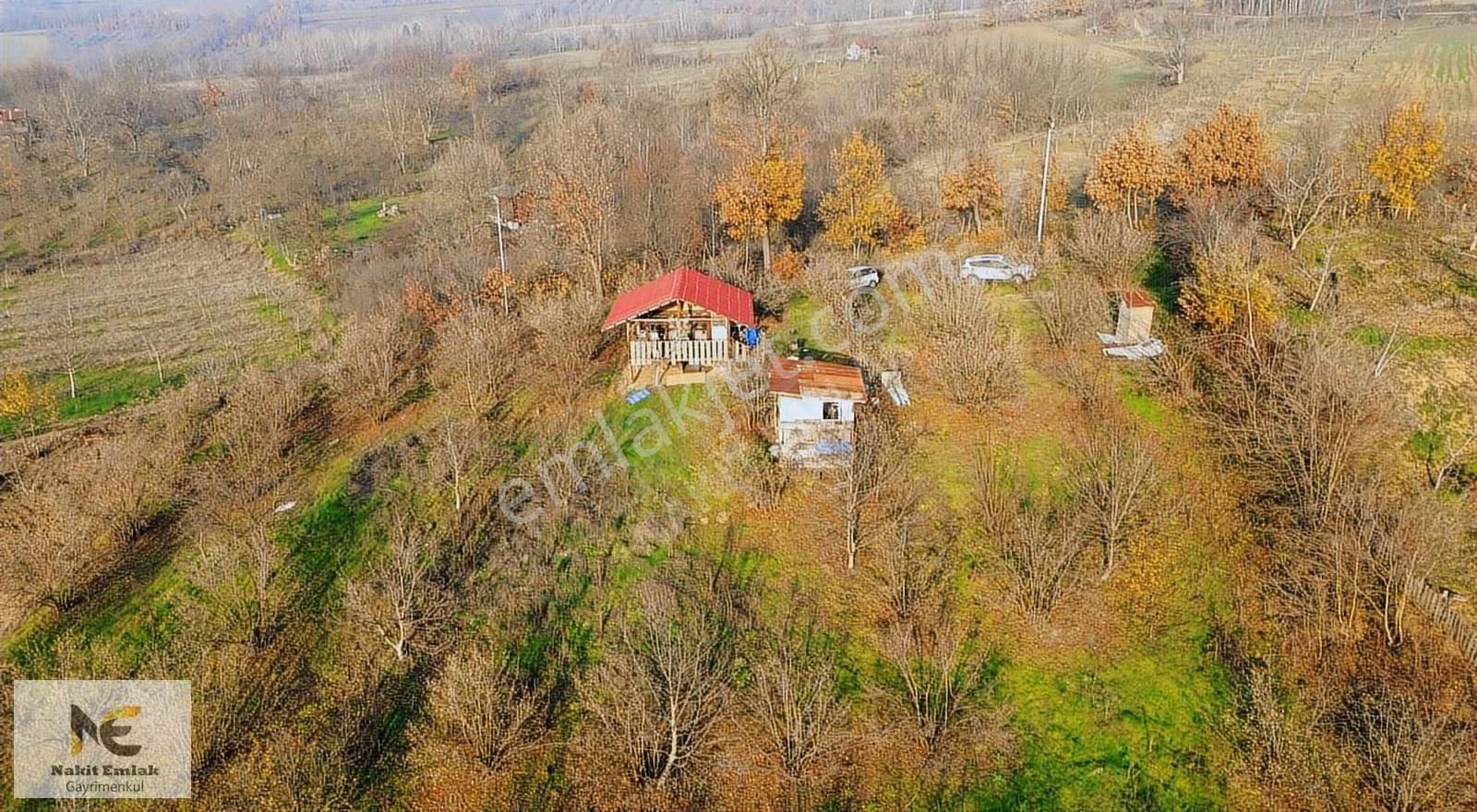 Fırsat Fındık Bahçesi Ev+elektrik+su+yol 11.250m2 Hacıkara'da - Görsel 27