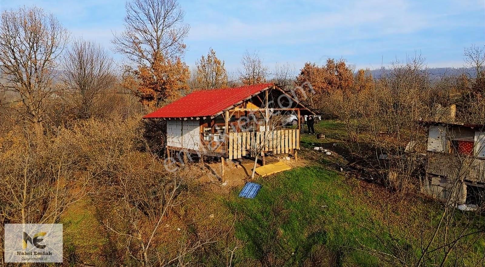 Fırsat Fındık Bahçesi Ev+elektrik+su+yol 11.250m2 Hacıkara'da - Görsel 32