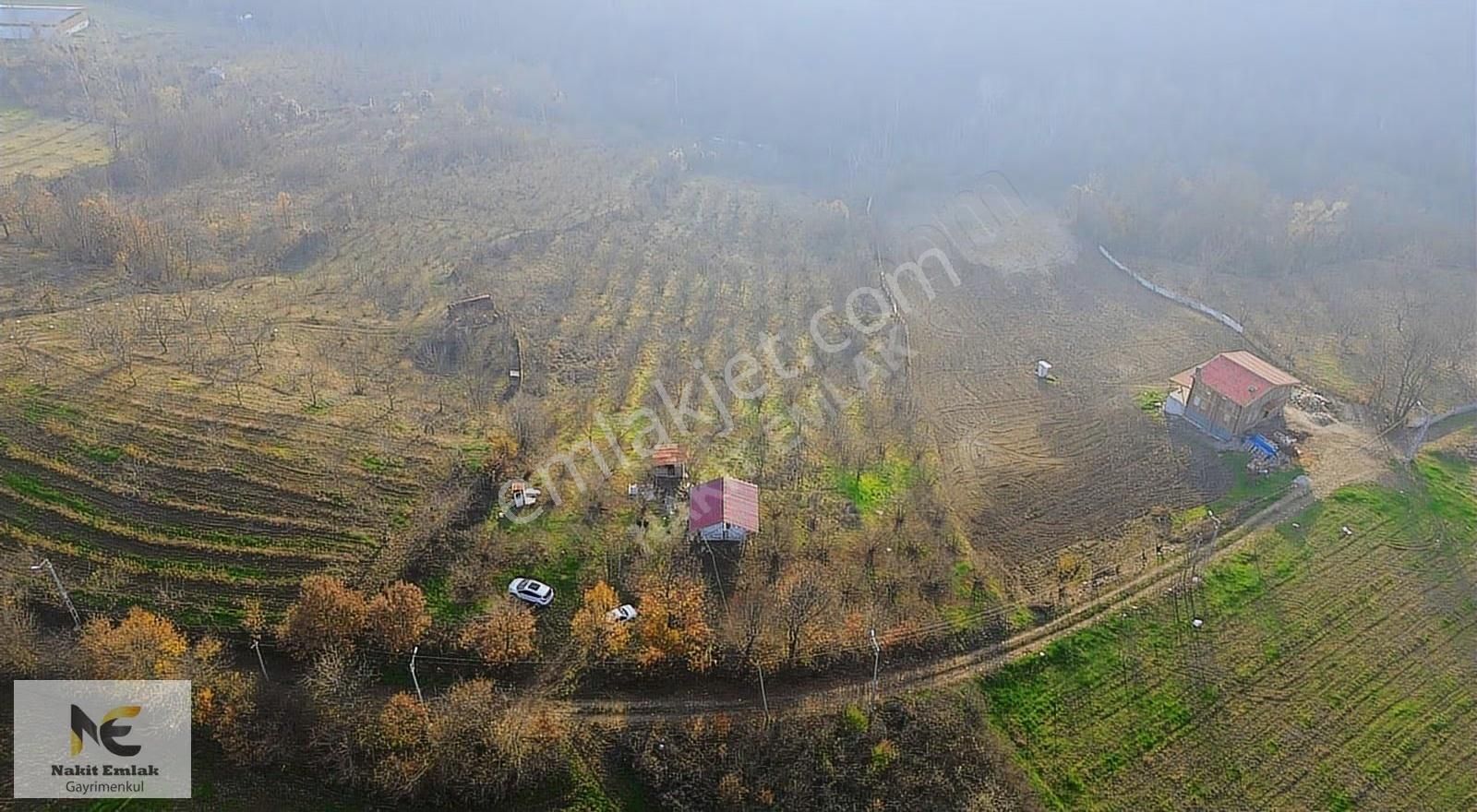 Fırsat Fındık Bahçesi Ev+elektrik+su+yol 11.250m2 Hacıkara'da - Görsel 15