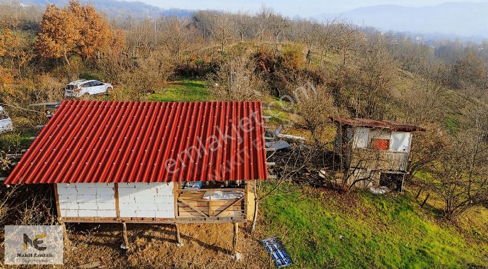 Fırsat Fındık Bahçesi Ev+elektrik+su+yol 11.250m2 Hacıkara'da - Görsel 6