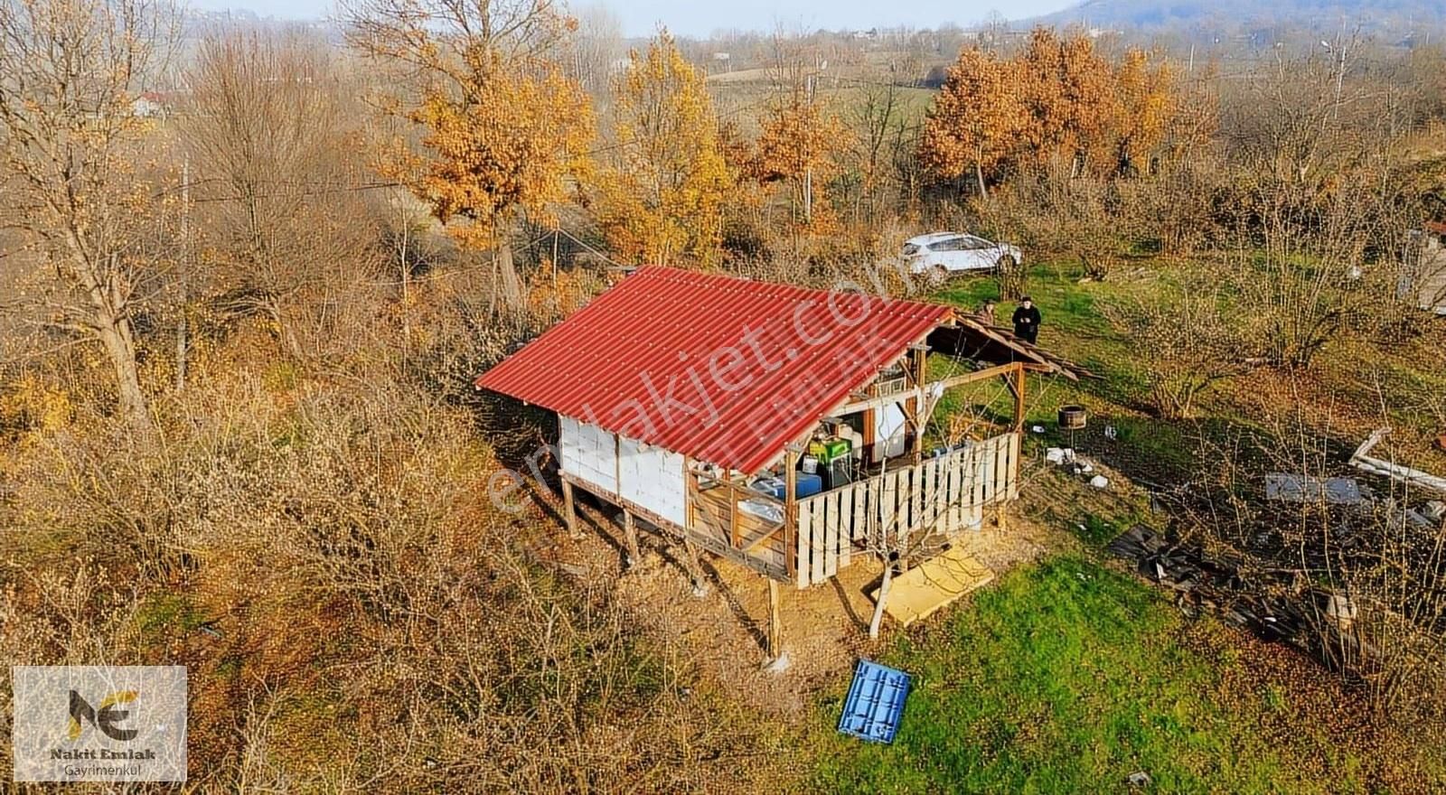 Fırsat Fındık Bahçesi Ev+elektrik+su+yol 11.250m2 Hacıkara'da