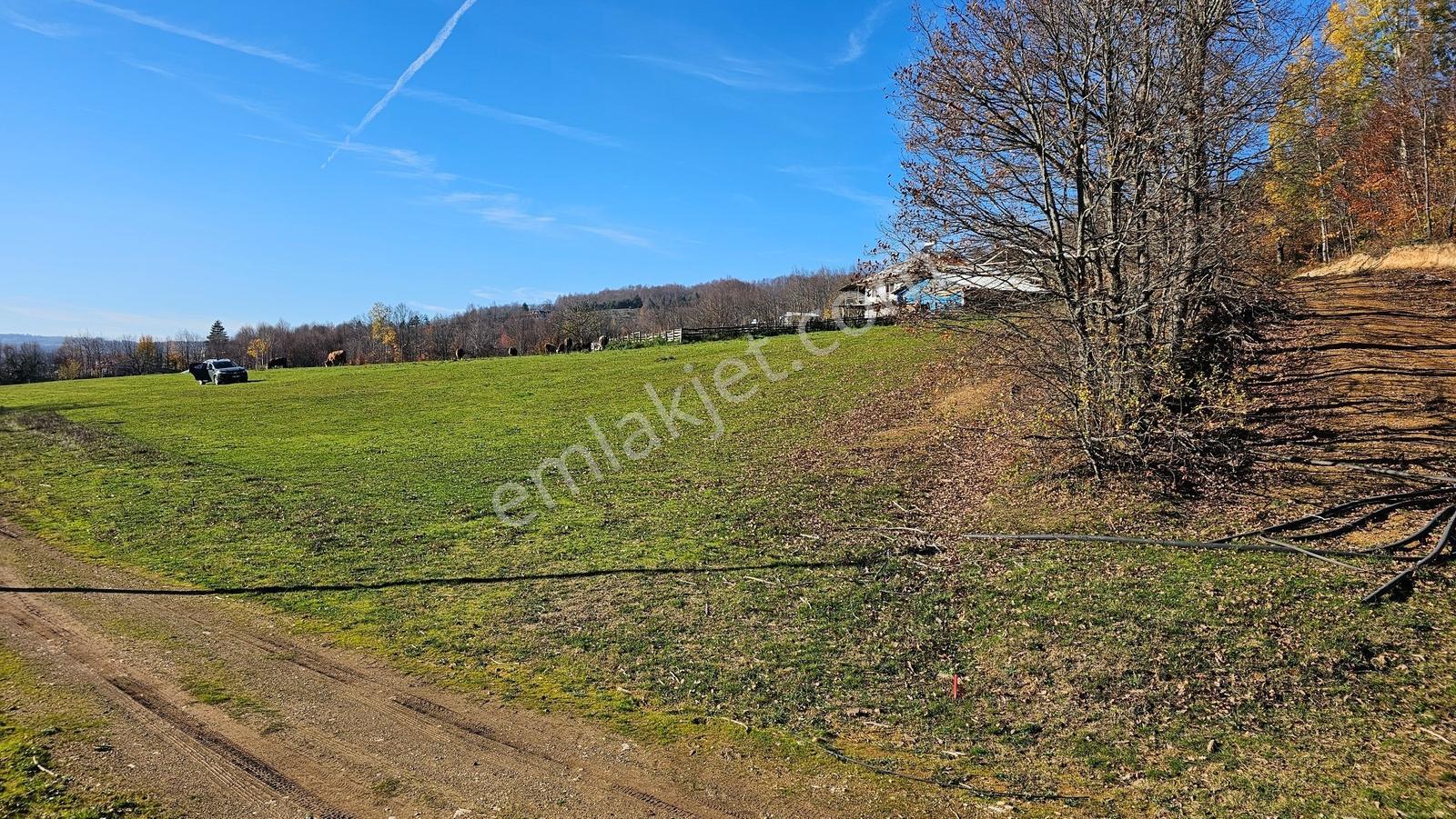 İznik Kırıntı'da 400 M² İmarlı Villalık Köşe Parsel - Görsel 16