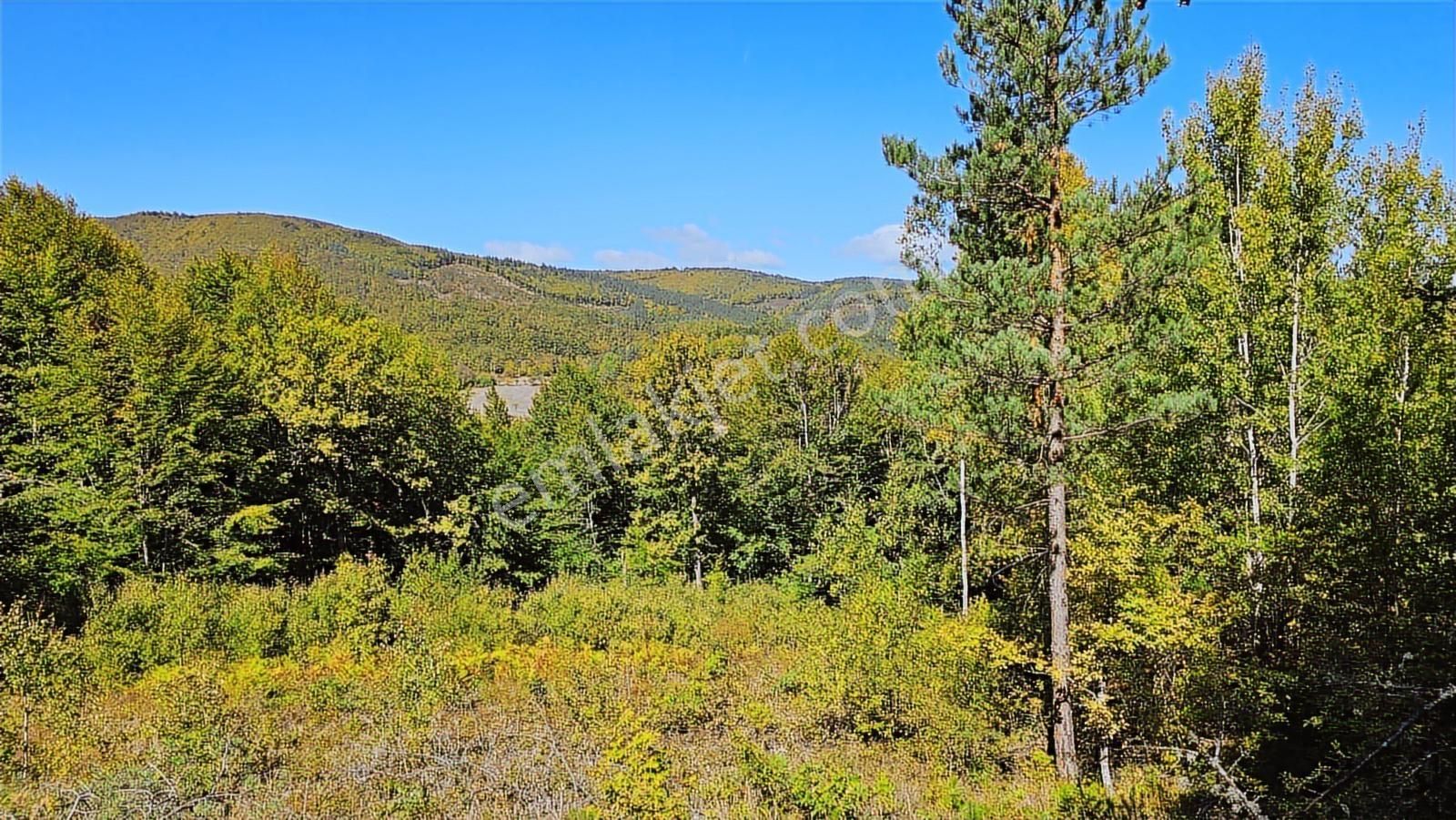 İznik Elmalı'da Köye Yakın / 2,430 M² Tarla ( Araç Takası Olur ) - Görsel 10