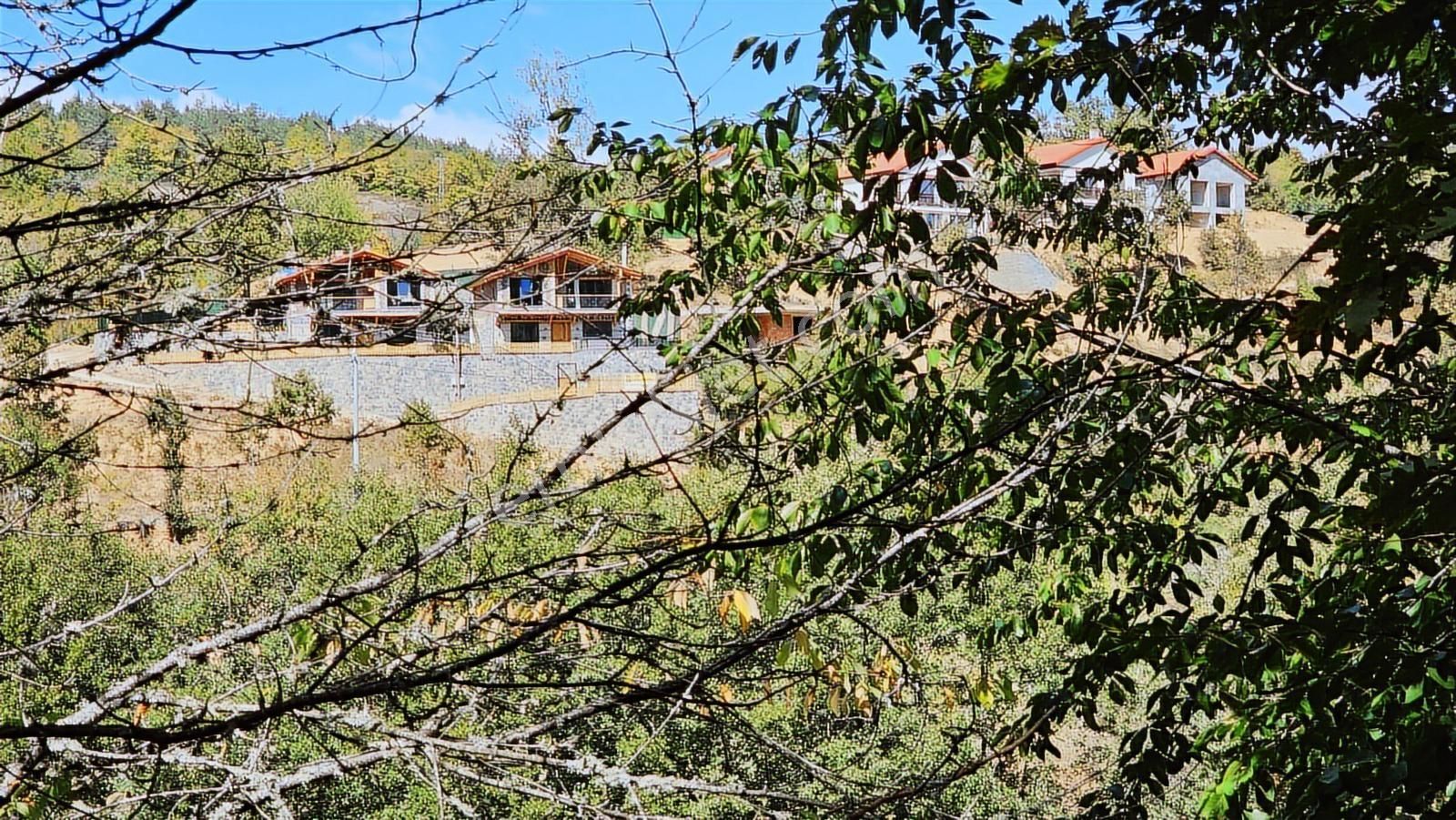 İznik Elmalı'da Köye Yakın / 2,430 M² Tarla ( Araç Takası Olur ) - Görsel 12