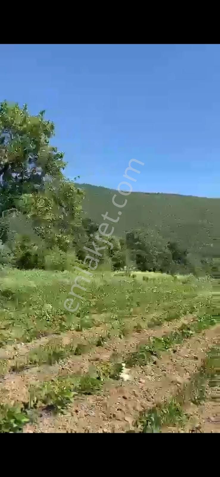 Sakarya Geyve Karacaörende Emsali Yok - Görsel 4