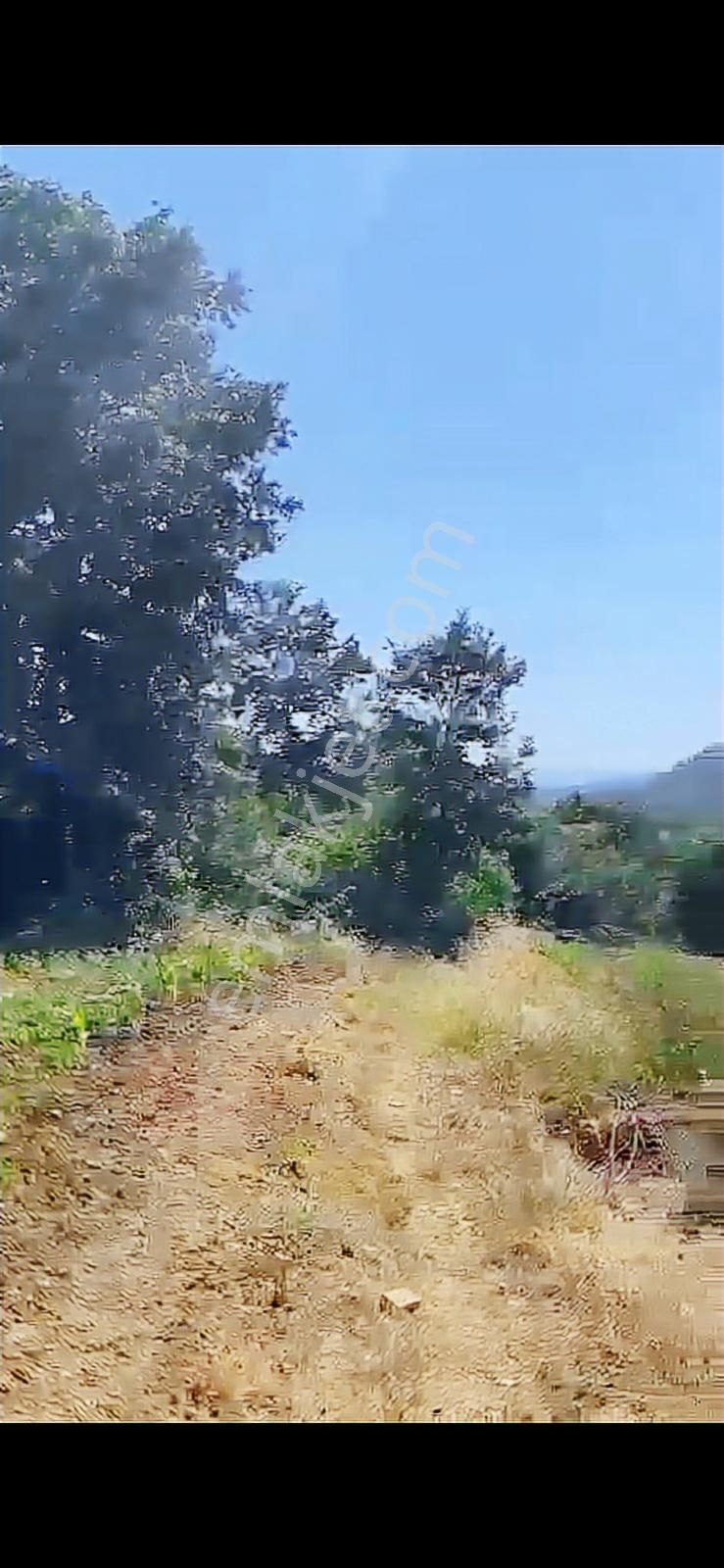 Sakarya Geyve Karacaörende Emsali Yok - Görsel 2