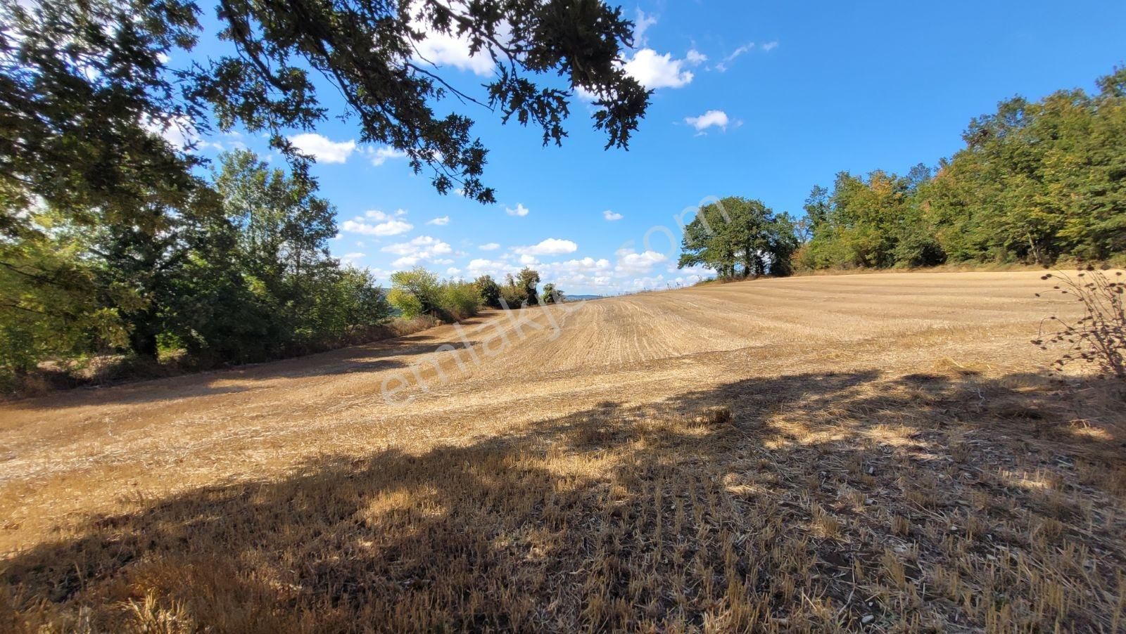 Sakarya İkizce Osmanıye" Modern Villa İmarlı "arsalara Sıfır - Görsel 7