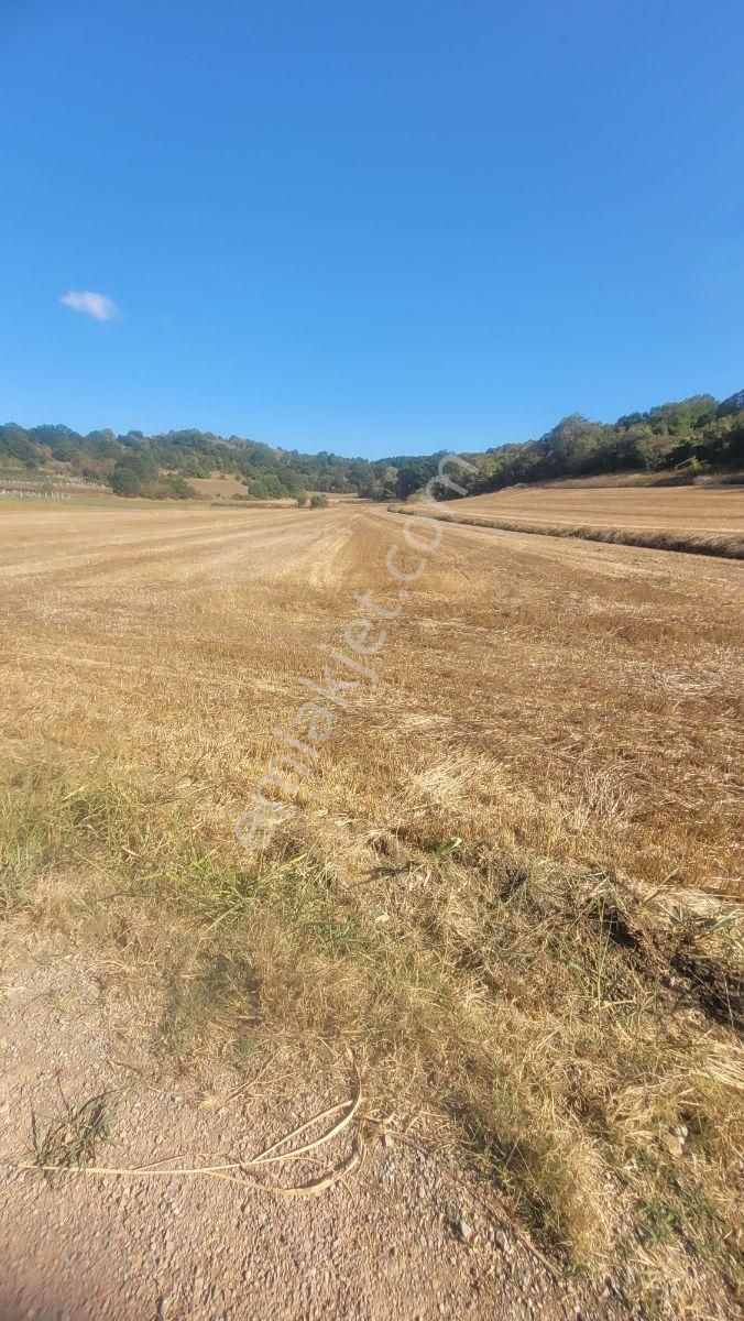 Sakarya İkizce Osmanıye" Modern Villa İmarlı "arsalara Sıfır - Görsel 3