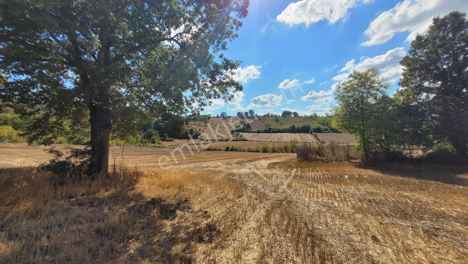 Sakarya İkizce Osmanıye" Modern Villa İmarlı "arsalara Sıfır - Görsel 5