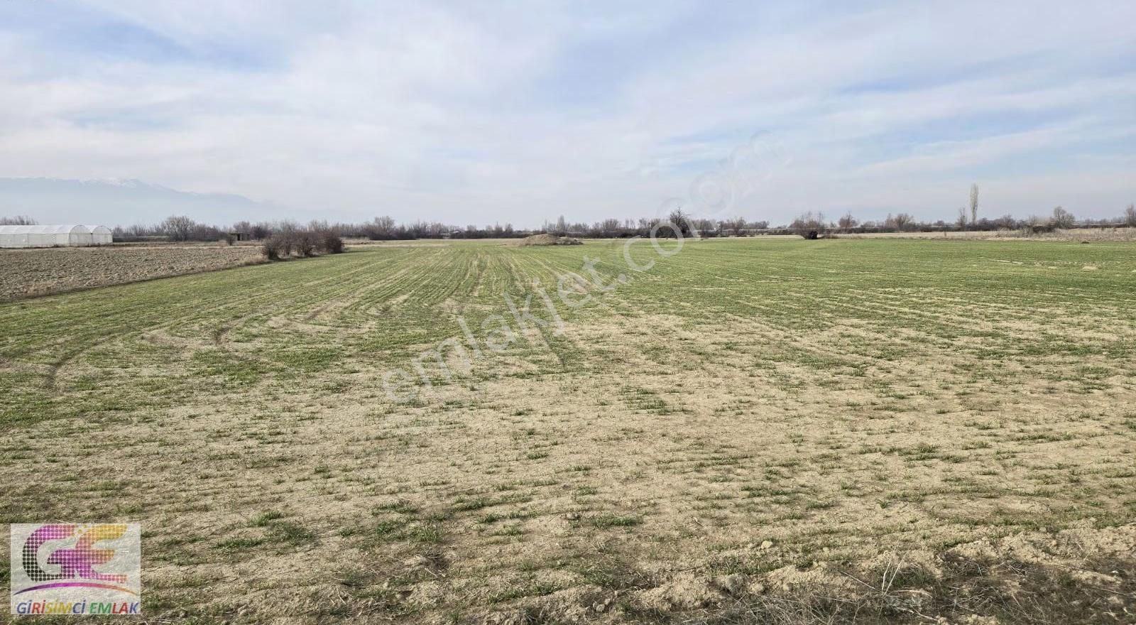 Girişimciden Adsızda 8.000m2 Mükemmel Tarla - Görsel 7