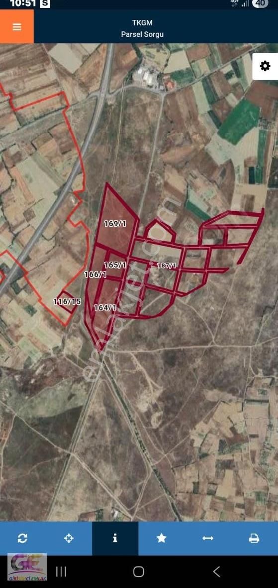 Girişimciden Adsızda 8.000m2 Mükemmel Tarla