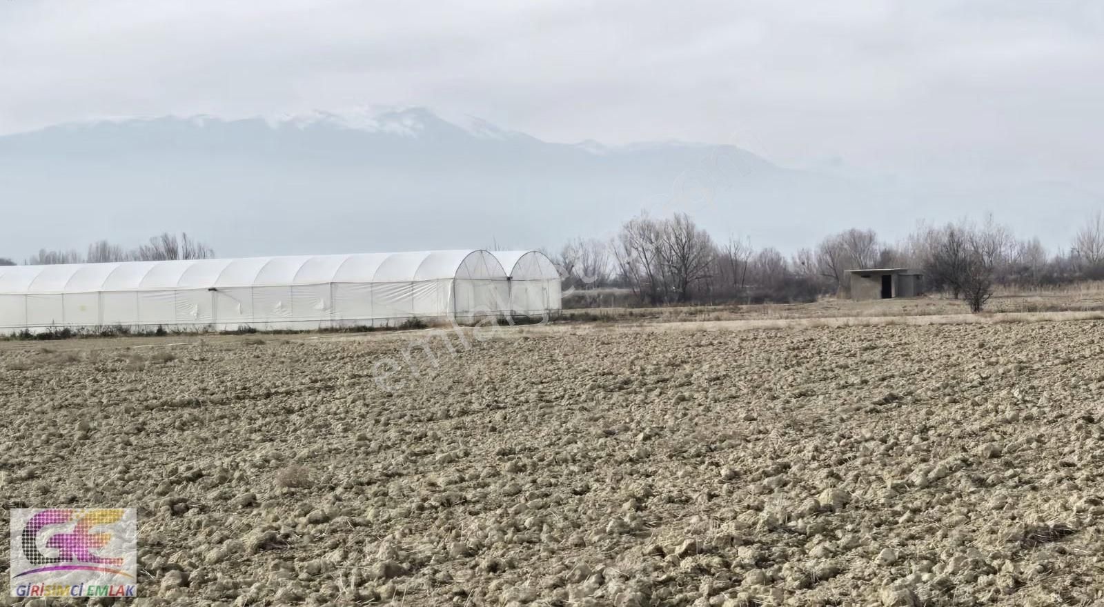 Girişimciden Adsızda 8.000m2 Mükemmel Tarla - Görsel 4