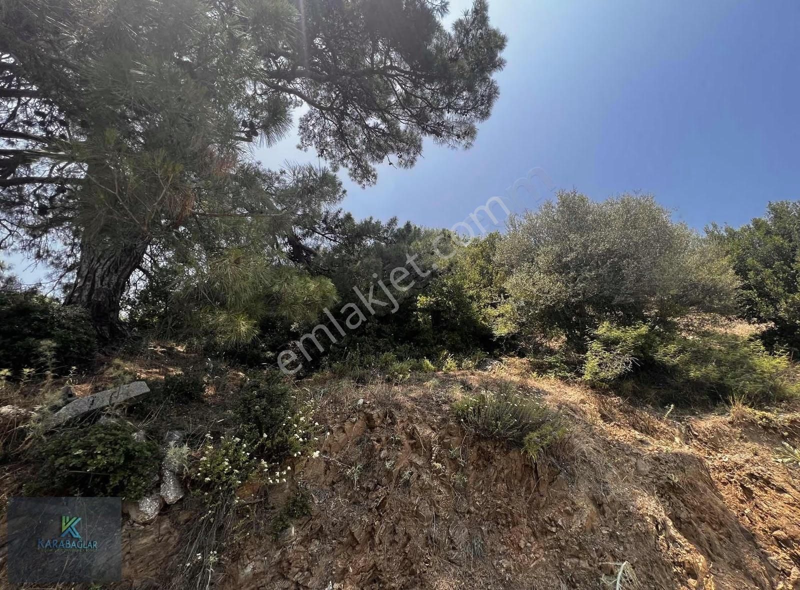 Seferihisar Gödencede 942 M2 % 50 İmarlı Arsa Fırsat Arsa - Görsel 7