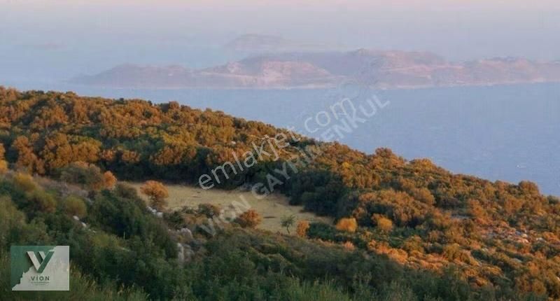 Kaş Sarıbelen'de Müstakil Tapulu Fırsat Yatırımlık Tarla - Görsel 2