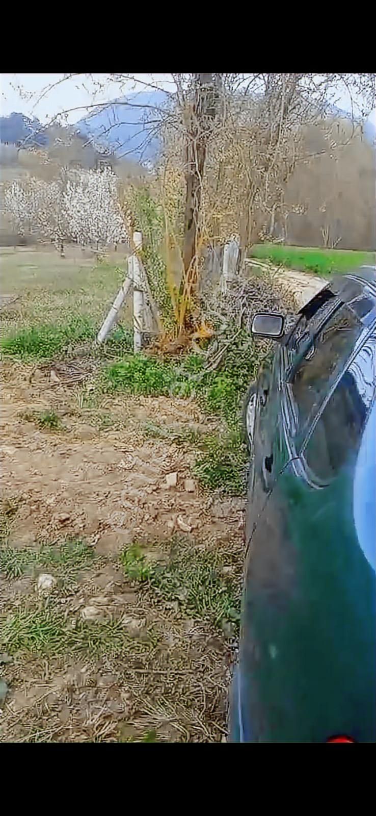 Sakarya Geyve Çukurköy Bağ Bahçe İçinde Hazır Konteyner