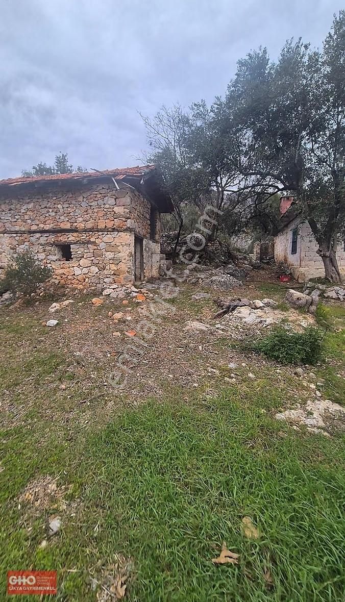 Gho'dan Dalaman Elcik'te Satılık Taş Ev Tarlası - Görsel 6