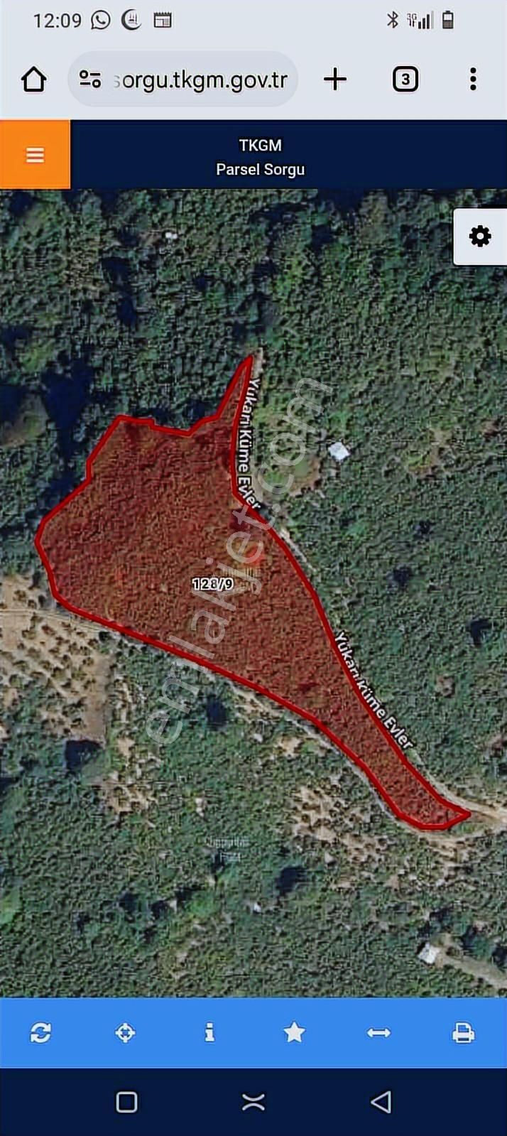 Yeşil Düzce Kadastrol Yolu Olan Fındık Bahçesi - Görsel 2