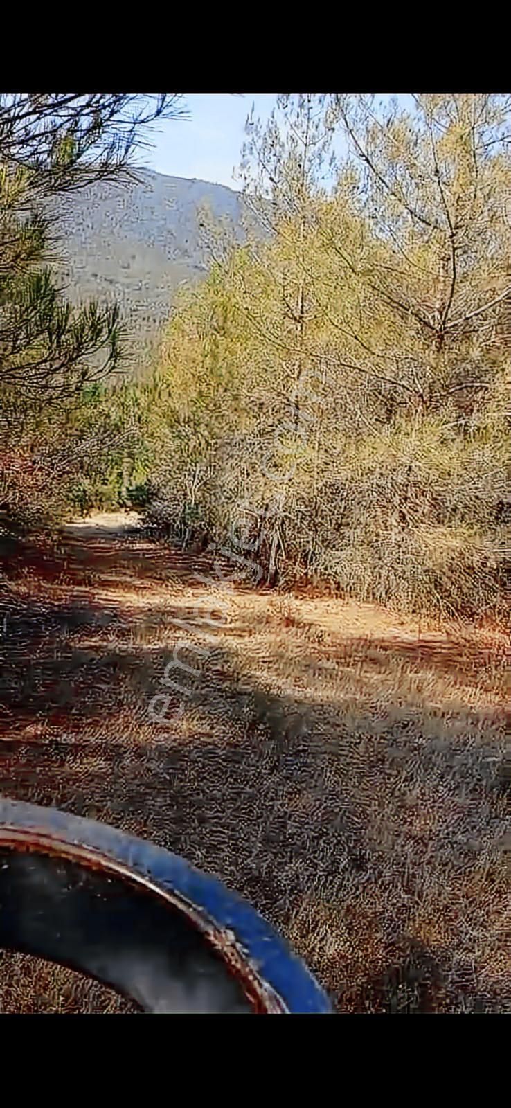 Sakarya Geyve Karacaörenin Zirvelerinde Güzel Bir Parça