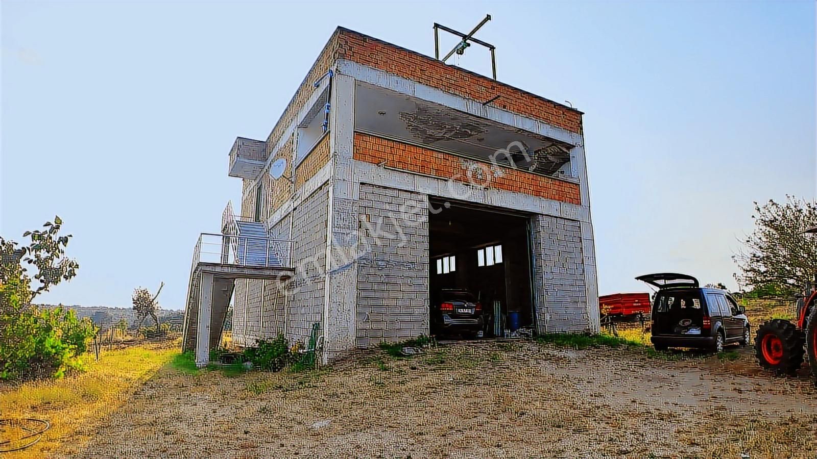 Kırklareli Yoğuntaş Köyün De Etrafı Çevrili Ceviz Bahçesi - Görsel 22