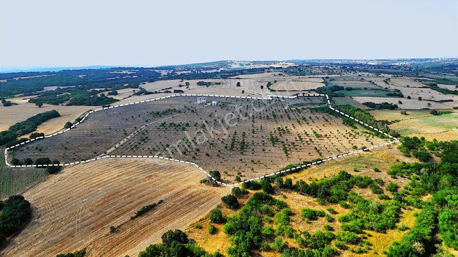 Kırklareli Yoğuntaş Köyün De Etrafı Çevrili Ceviz Bahçesi - Görsel 28