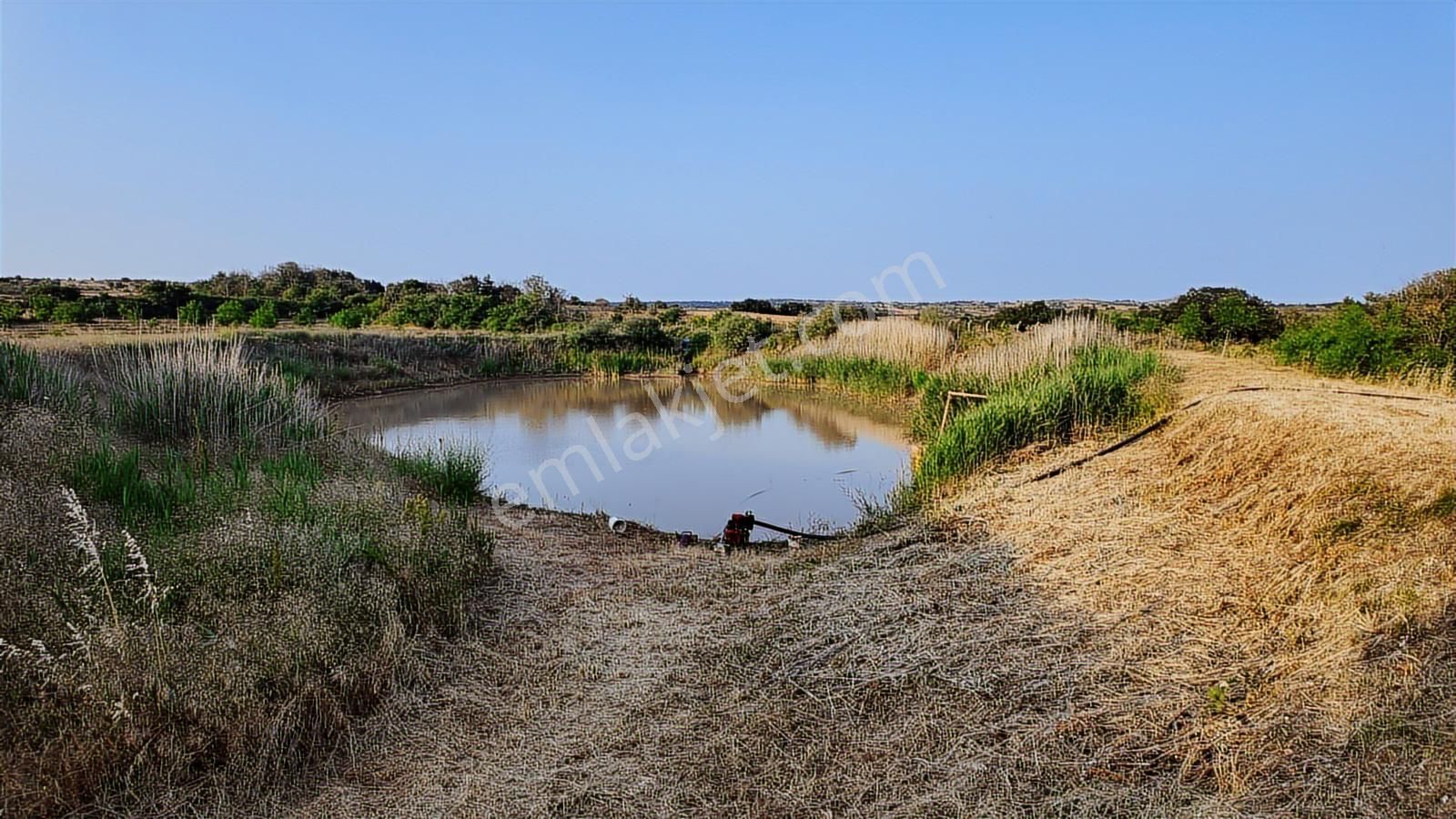 Kırklareli Yoğuntaş Köyün De Etrafı Çevrili Ceviz Bahçesi - Görsel 26