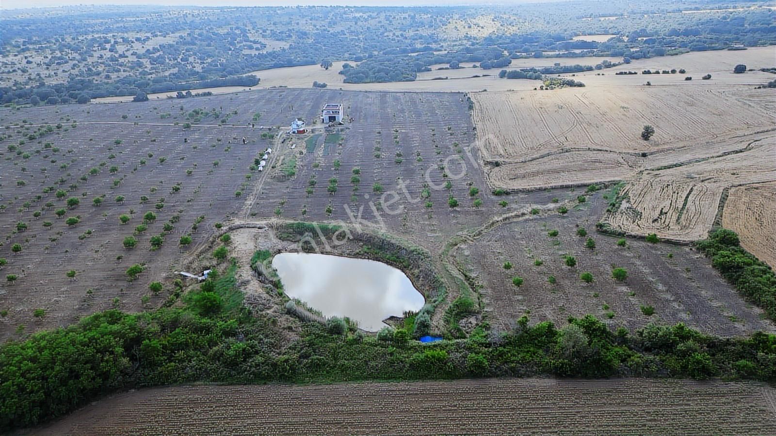 Kırklareli Yoğuntaş Köyün De Etrafı Çevrili Ceviz Bahçesi - Görsel 7