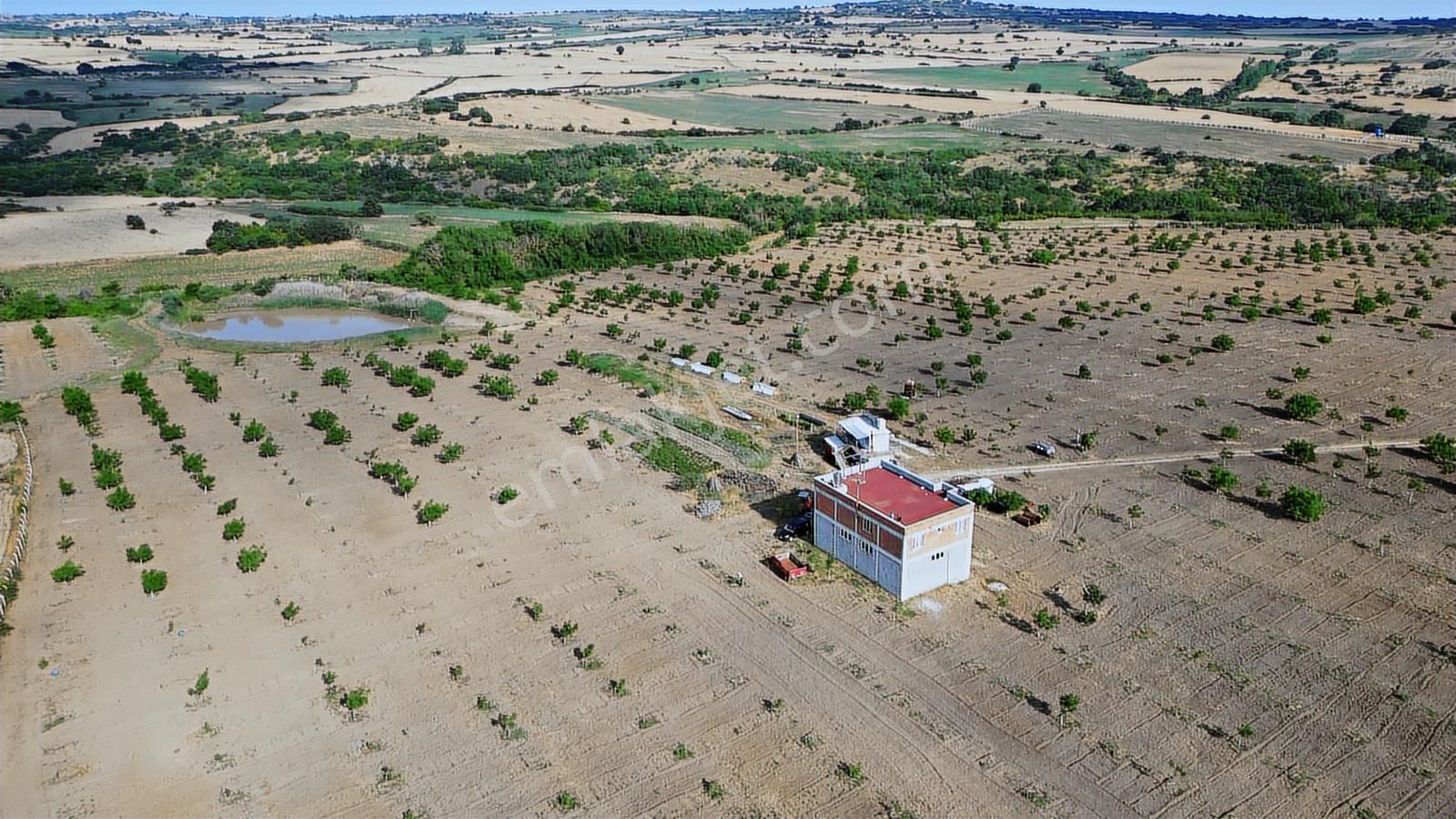 Kırklareli Yoğuntaş Köyün De Etrafı Çevrili Ceviz Bahçesi - Görsel 21