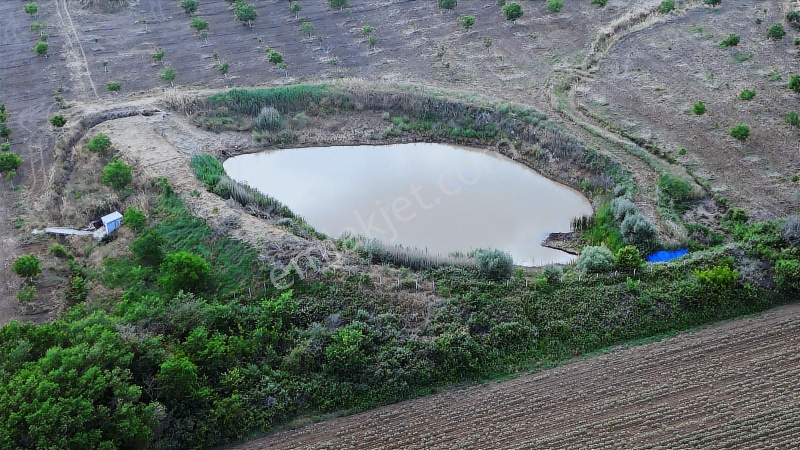 Kırklareli Yoğuntaş Köyün De Etrafı Çevrili Ceviz Bahçesi - Görsel 8