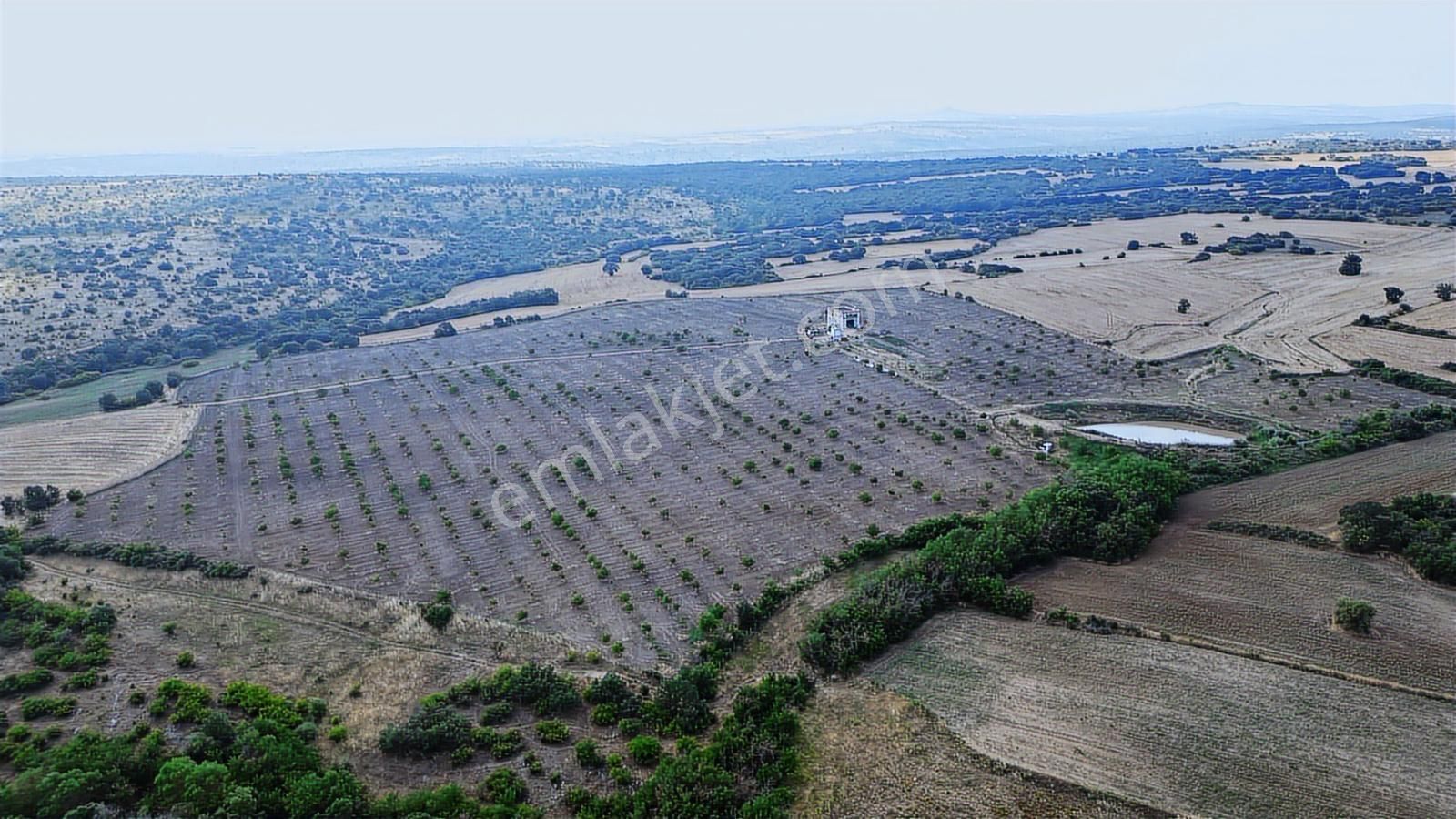 Kırklareli Yoğuntaş Köyün De Etrafı Çevrili Ceviz Bahçesi - Görsel 3
