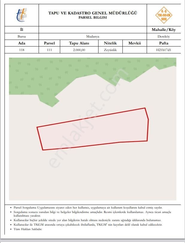 Fırsat - Köye 250 Mt Mesafede Yatırımlık Zeytinlik - Görsel 4