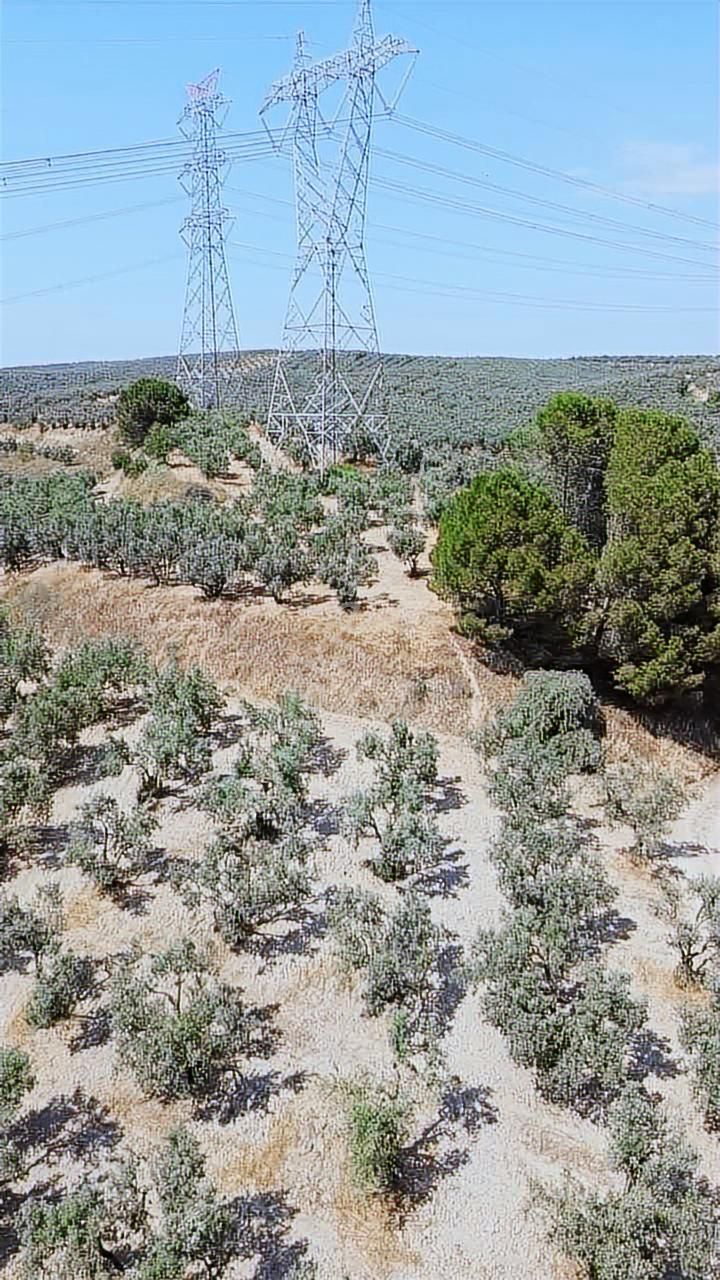 Mürsel'de Fırsat Arazi - Görsel 12