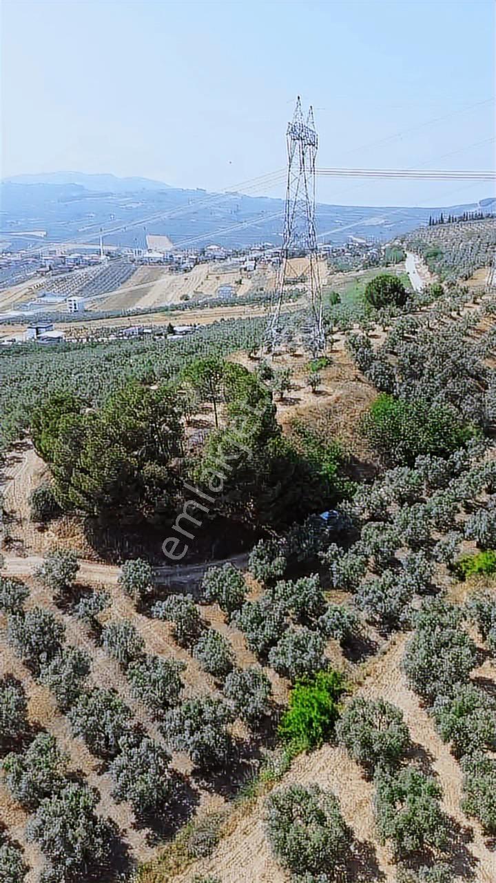 Mürsel'de 4257 M2 Fırsat Arazi - Görsel 9