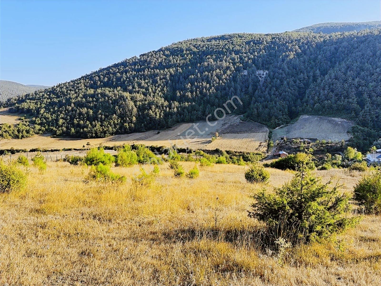 Dere Gayrimenkul'den Sarıışıkta 2 Kata İmarlı Satılık Arsa - Görsel 4