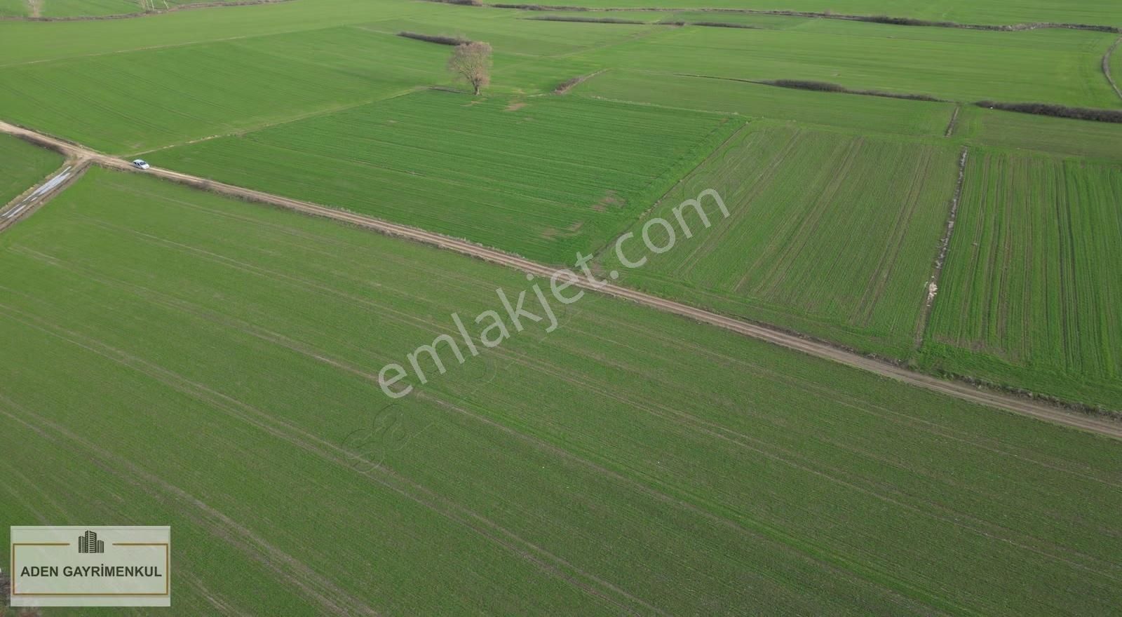 Tekirdağ Saray Edirköy 381 M²satılık Tarladan Hisse - Görsel 12