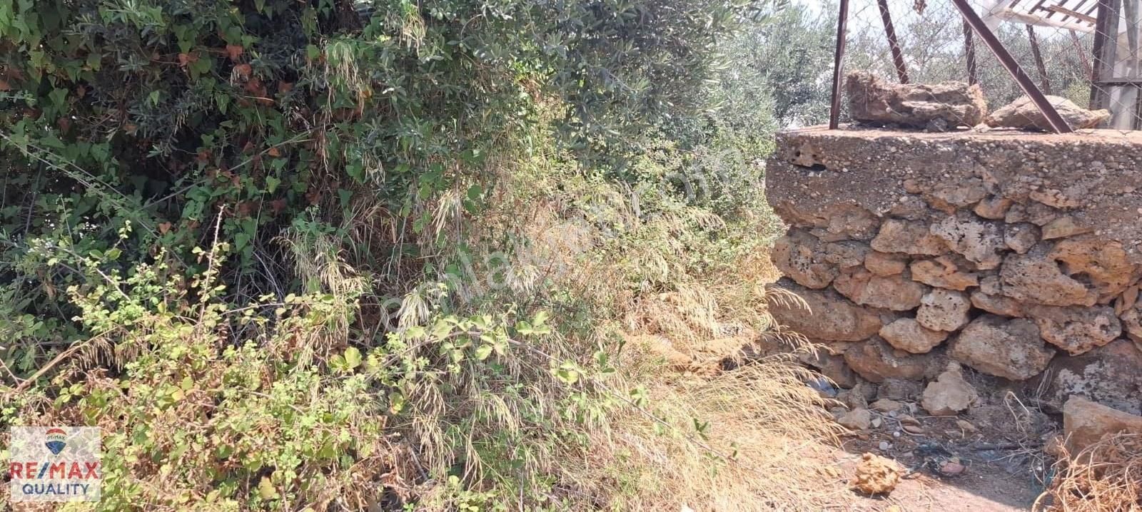Antalya Aksu Çamköyde Satılık Arsa 1.852 M² | İçerisinde Sera