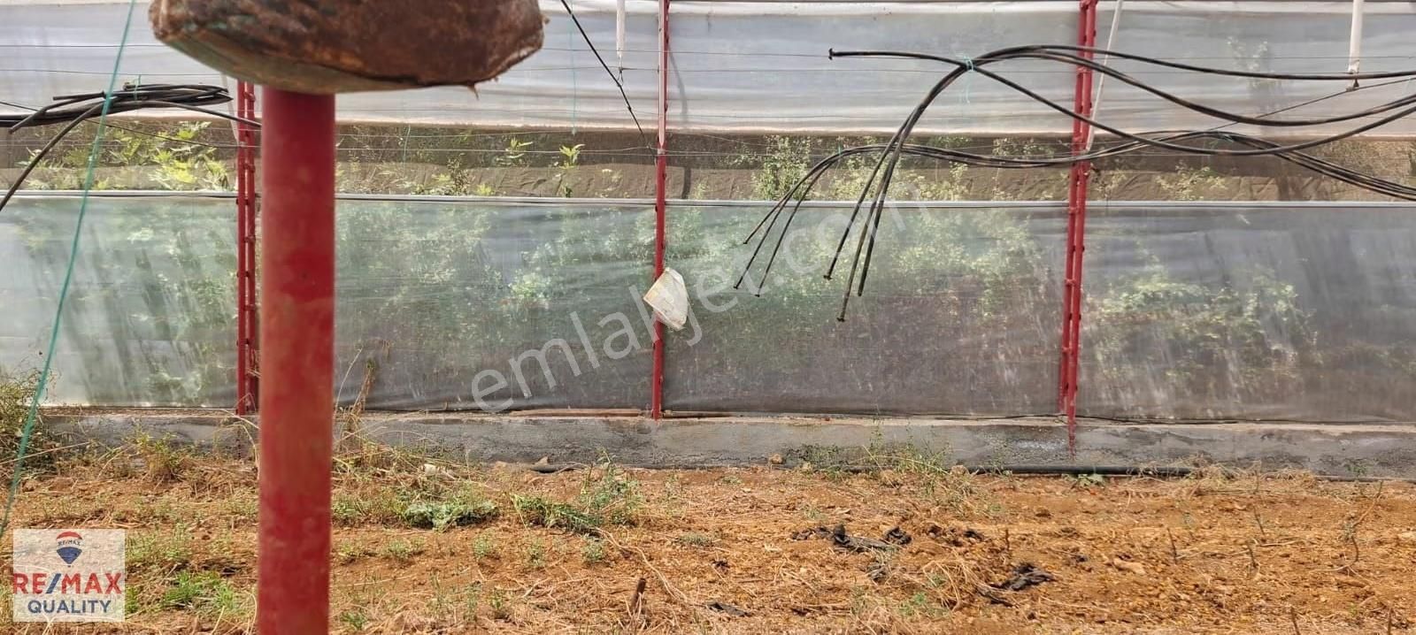 Antalya Aksu Çamköyde Satılık Arsa 1.852 M² | İçerisinde Sera - Görsel 4