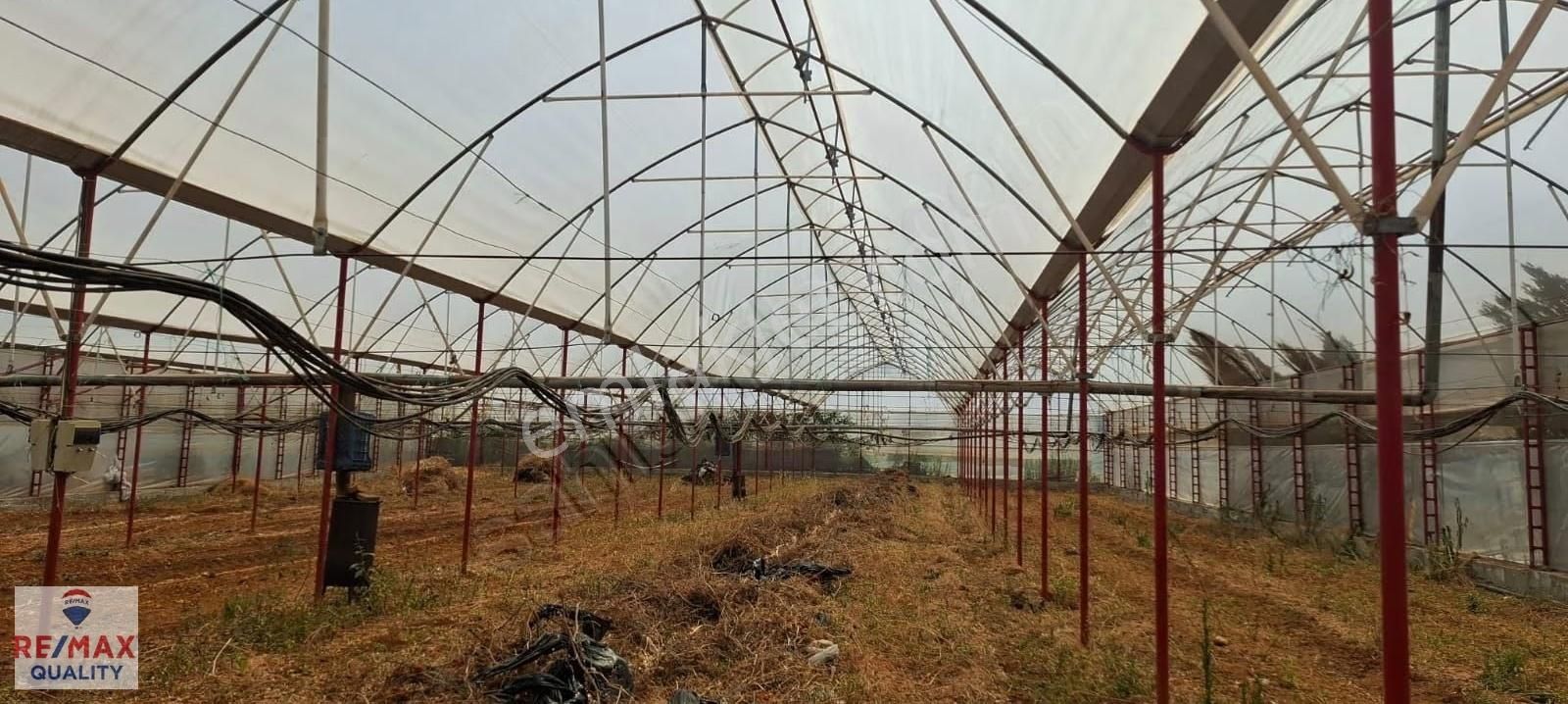 Antalya Aksu Çamköyde Satılık Arsa 1.852 M² | İçerisinde Sera - Görsel 5