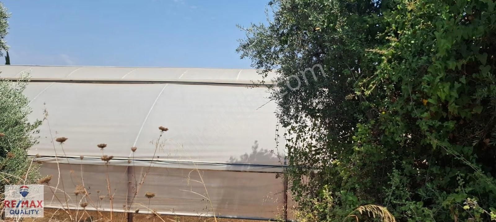 Antalya Aksu Çamköyde Satılık Arsa 1.852 M² | İçerisinde Sera - Görsel 2