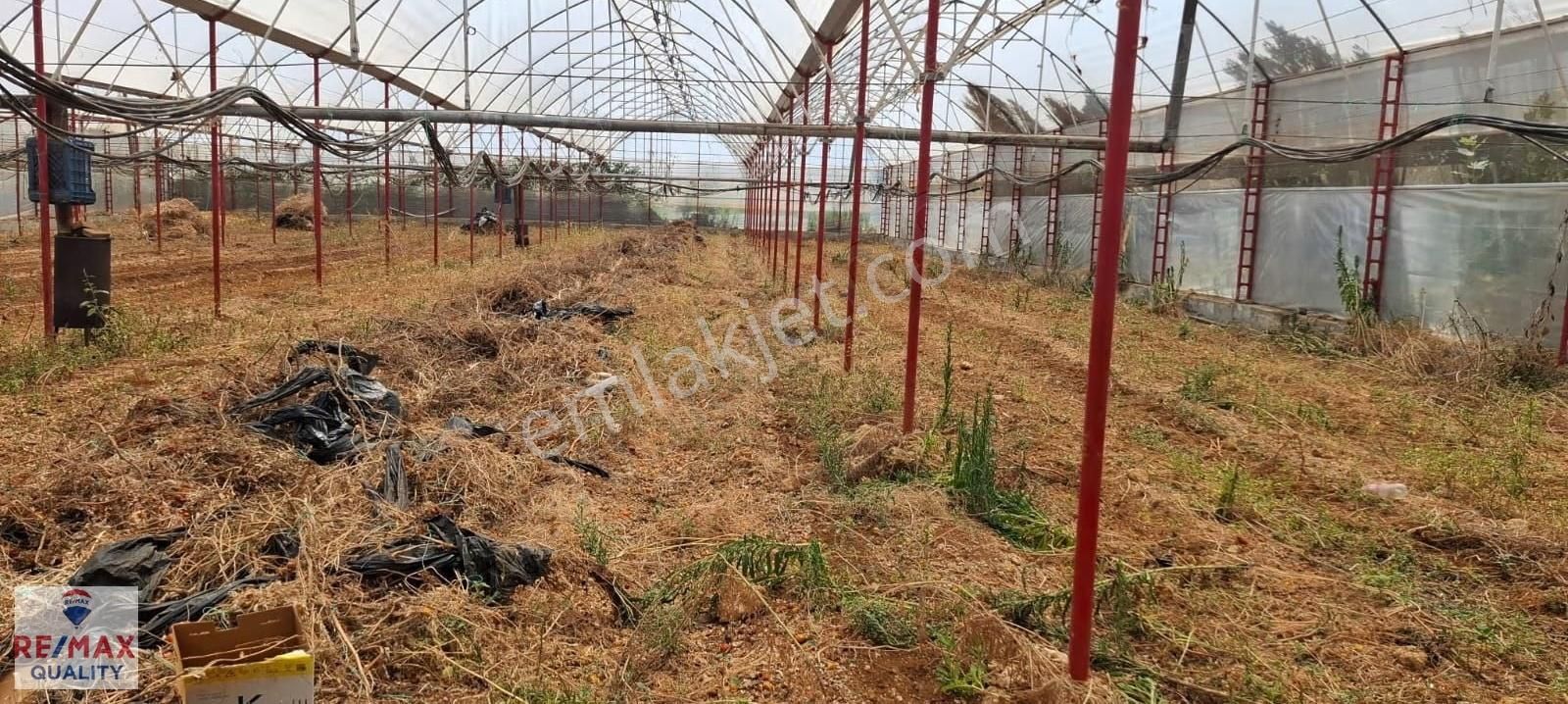 Antalya Aksu Çamköyde Satılık Arsa 1.852 M² | İçerisinde Sera - Görsel 3