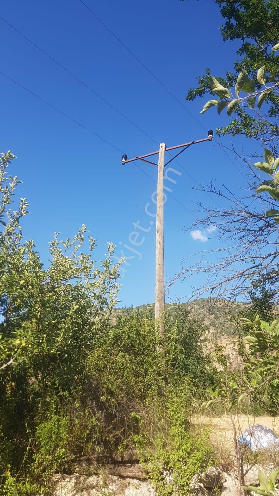 🦋lobby Fortis'ten Satılık Çameli Cumaalanı'nda 722 M² Yatırımlık Elma Bahçesi🦋 - Görsel 8