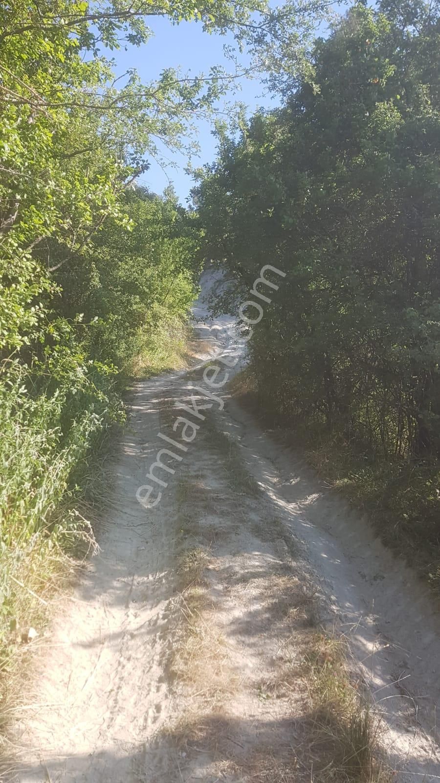 🦋lobby Fortis'ten Satılık Çameli Cumaalanı'nda 722 M² Yatırımlık Elma Bahçesi🦋 - Görsel 6