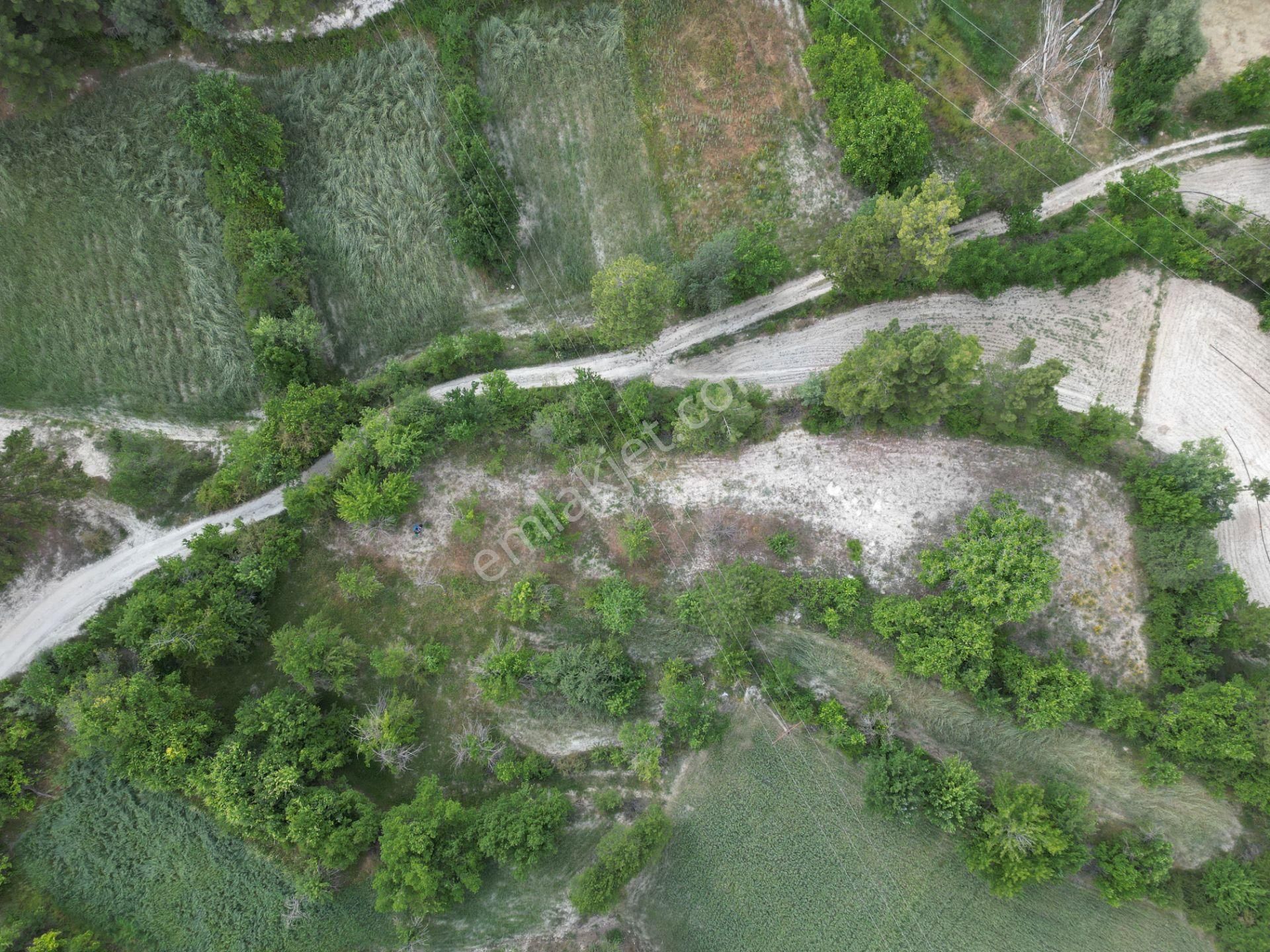 🦋lobby Fortis'ten Satılık Çameli Cumaalanı'nda 722 M² Yatırımlık Elma Bahçesi🦋 - Görsel 3