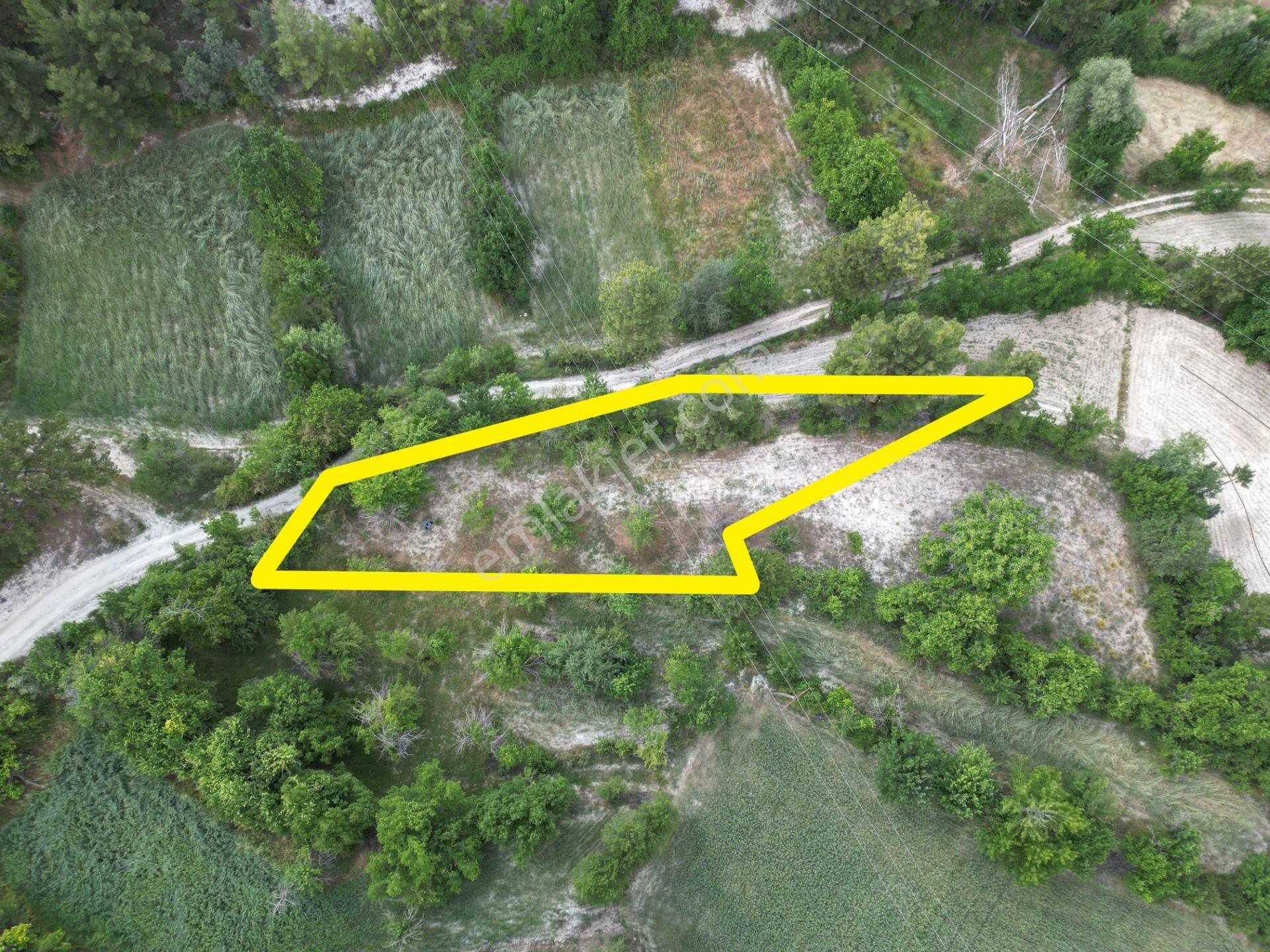 🦋lobby Fortis'ten Satılık Çameli Cumaalanı'nda 722 M² Yatırımlık Elma Bahçesi🦋