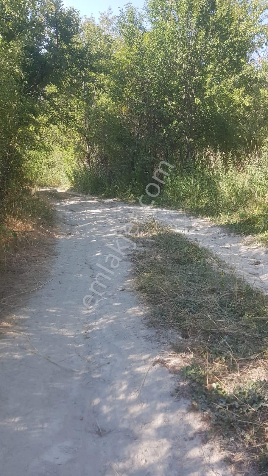 🦋lobby Fortis'ten Satılık Çameli Cumaalanı'nda 722 M² Yatırımlık Elma Bahçesi🦋 - Görsel 4