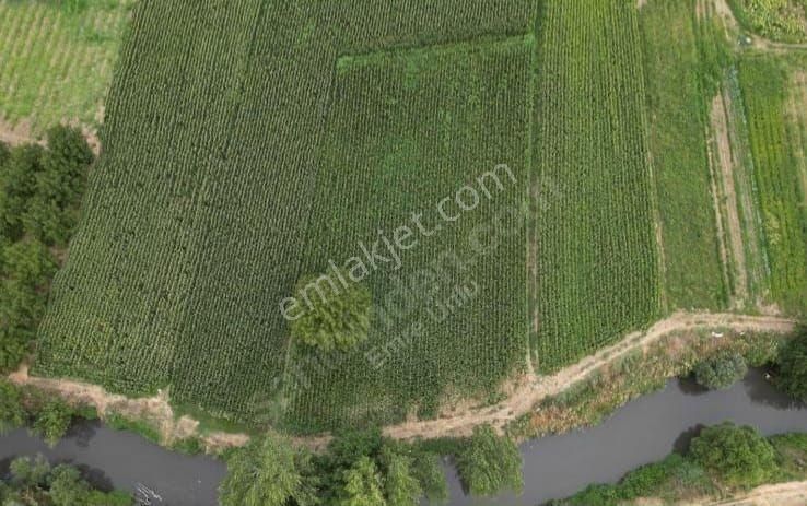 Lookhause Mudanya Hançerli Satılık Tarla - Görsel 3