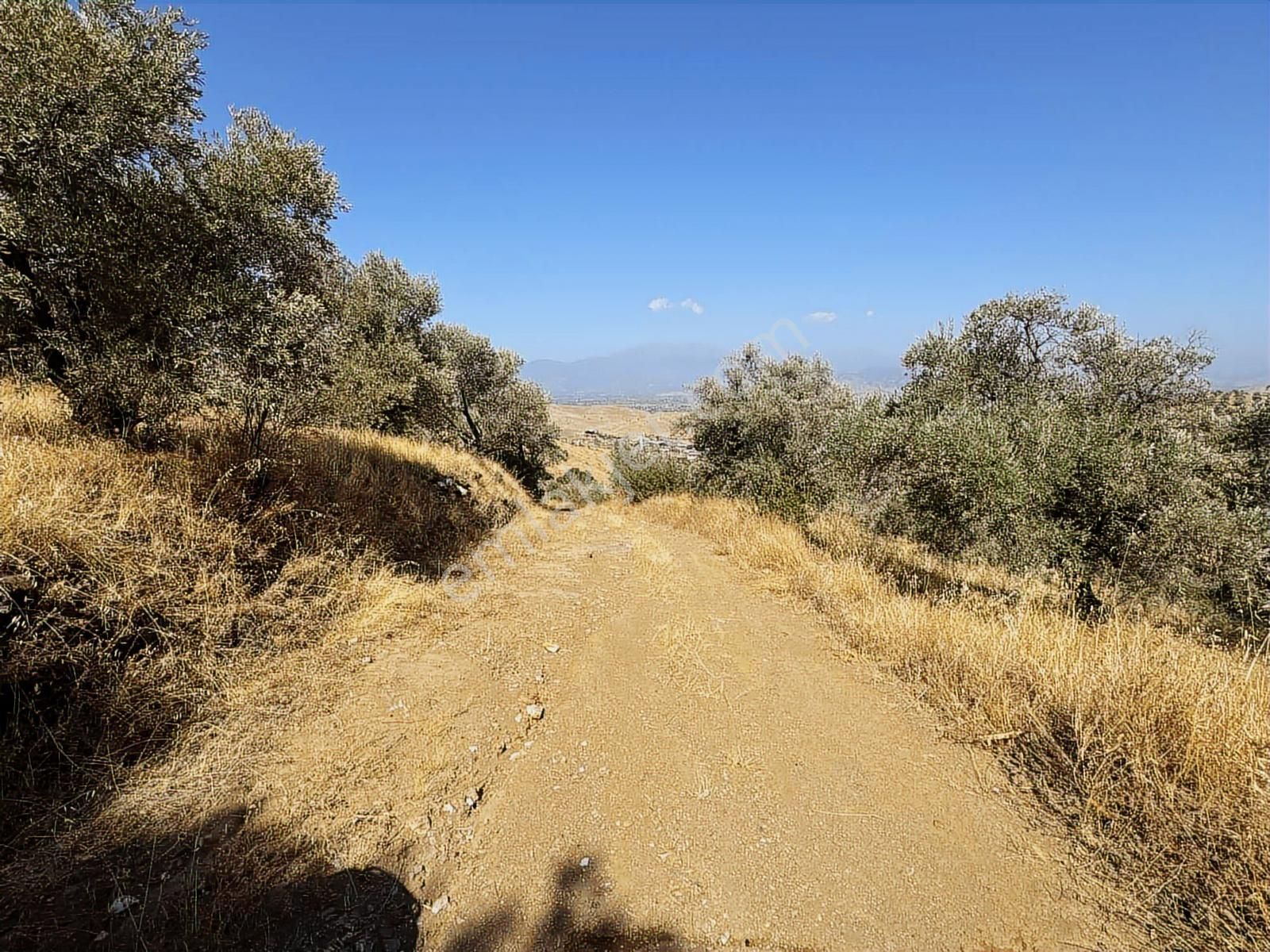 İzmir Ödemiş Bozcayaka 600 M2 Tek Tapu Köye Yakın Ulaşımı Olan - Görsel 6