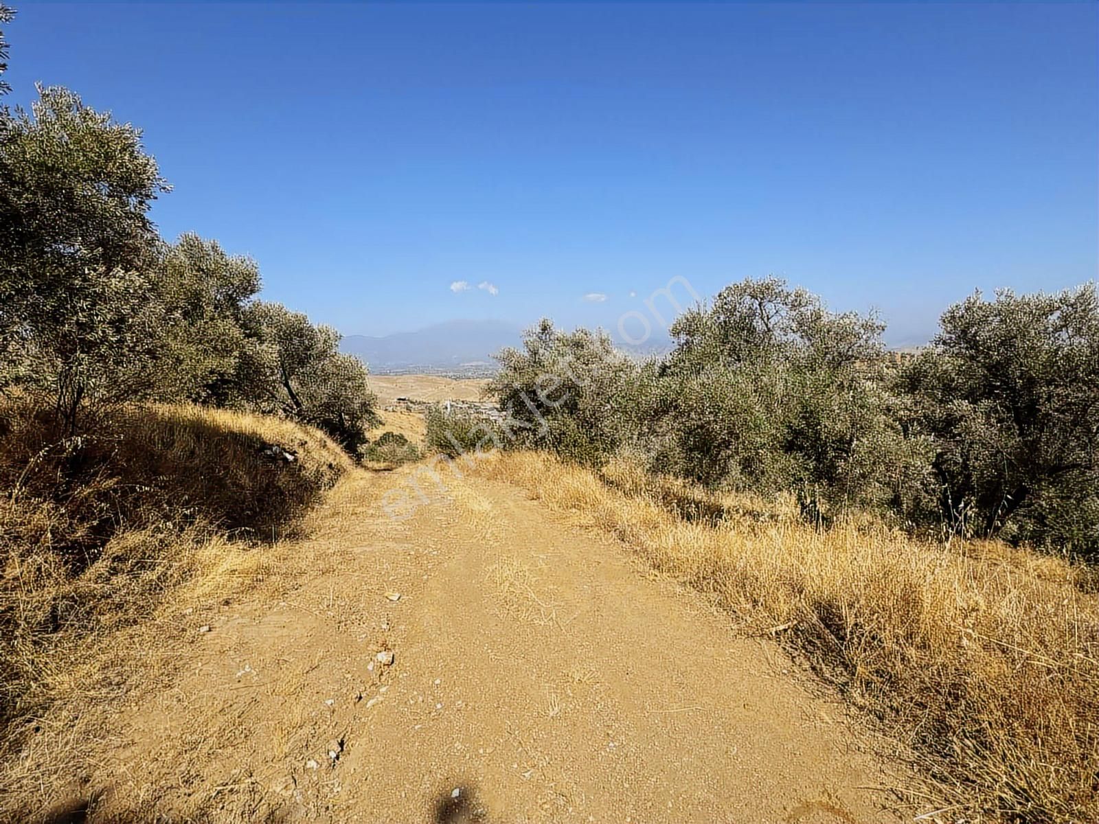 İzmir Ödemiş Bozcayaka 600 M2 Tek Tapu Köye Yakın Ulaşımı Olan - Görsel 3